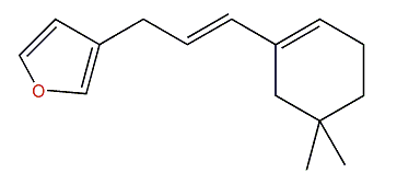 Pleraplysillin 1